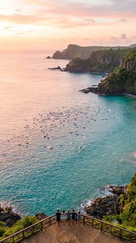 Hundreds of Fernando de Noronha dolphins splashing in Dolphin Bay at sunrise, seen from the clifftop viewpoint.