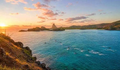 Un branco di delfini giratori che saltano nelle acque turchesi della Baia dei Delfini all’alba, visto dal belvedere in cima alla scogliera a Fernando de Noronha.