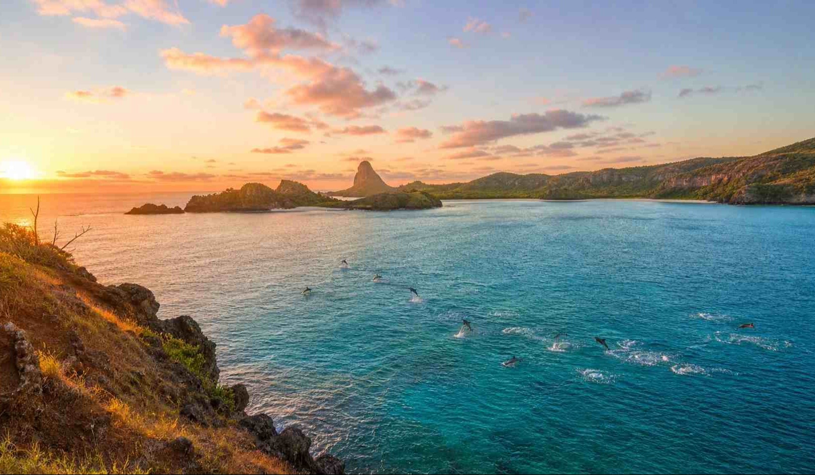Un branco di delfini giratori che saltano nelle acque turchesi della Baia dei Delfini all’alba, visto dal belvedere in cima alla scogliera a Fernando de Noronha.