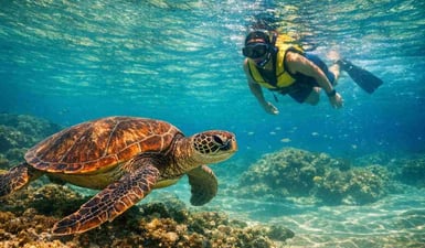 Un subacqueo che nuota con una tartaruga marina verde nelle acque cristalline della spiaggia di Sueste, a Fernando de Noronha.