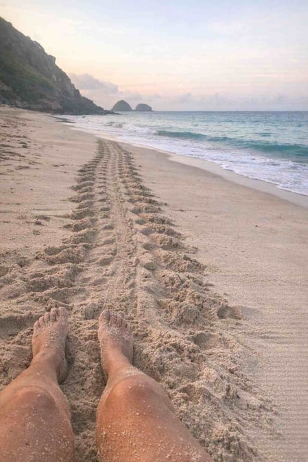 Una vista in prima persona delle tracce lasciate dalle tartarughe marine sulla sabbia di Praia do Leão, tratta dalla nostra guida turistica su Praia do Leão.