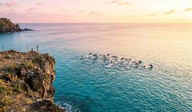 Um grupo de golfinhos-rotadores saltando nas águas turquesa da Baía dos Golfinhos ao nascer do sol, visto do mirante no topo da falésia em Fernando de Noronha.
