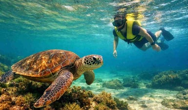 Mergulhador com snorkel nadando com uma tartaruga-verde nas águas cristalinas durante uma visita à Praia do Sueste, em Fernando de Noronha.