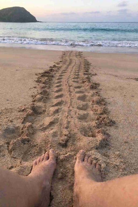 Uma visão em primeira pessoa das pegadas de tartarugas marinhas na areia da Praia do Leão, retirada do nosso guia de viagem da Praia do Leão.