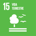vaialmare-turismo-hospitalidade-ods-15