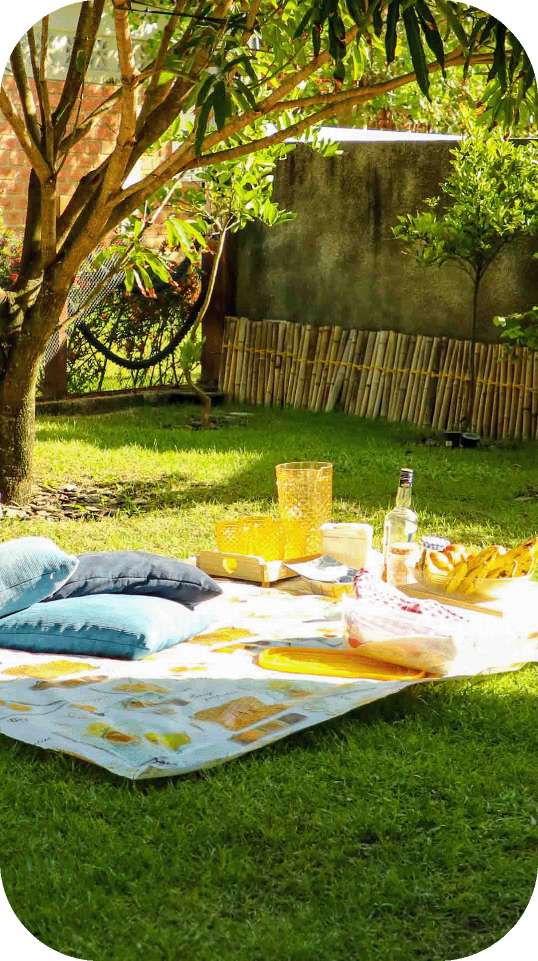 vaialmare travel and hospitality in porto de galinhas