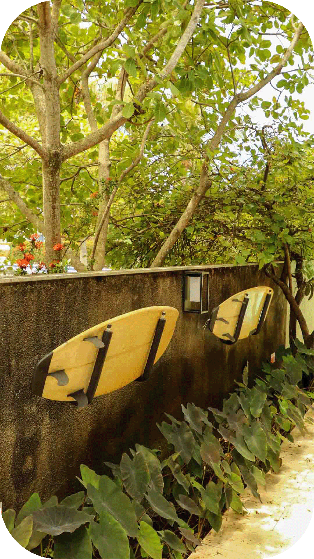 vaialmare viagem e hospitalidade em porto de galinhas